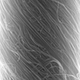 Illustration for article titled Scientists have used carbon nanotubes to engineer the most powerful artificial muscles ever